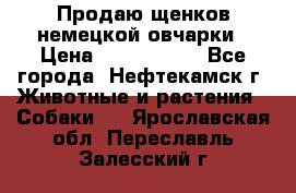 Продаю щенков немецкой овчарки › Цена ­ 5000-6000 - Все города, Нефтекамск г. Животные и растения » Собаки   . Ярославская обл.,Переславль-Залесский г.